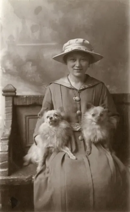 Framed Print : Woman with two long hair Chihuahuas Framed Print : Woman with two long hair Chihuahuas