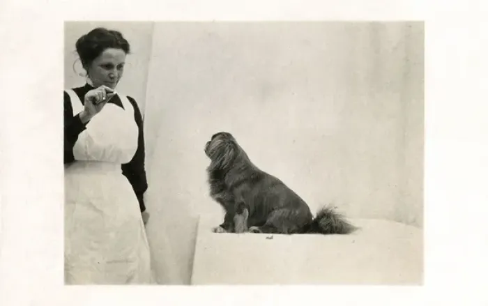 Framed Print : Woman and Pekingese dog Framed Print : Woman and Pekingese dog