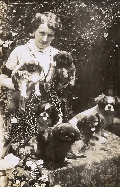 Woman with Pekingese dogs and puppies in a garden