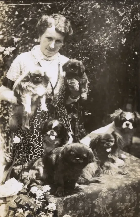Framed Print : Woman with Pekingese dogs and puppies in a garden Framed Print : Woman with Pekingese dogs and puppies in a garden