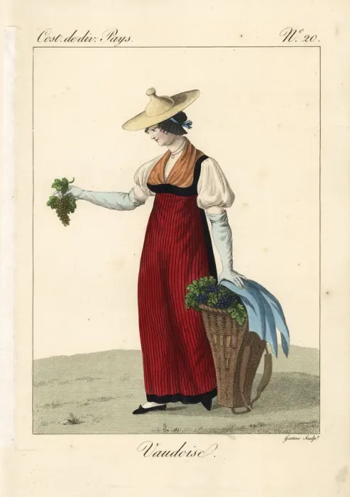 Framed Print : Woman picking grapes, Vaud, Switzerland, 19th century