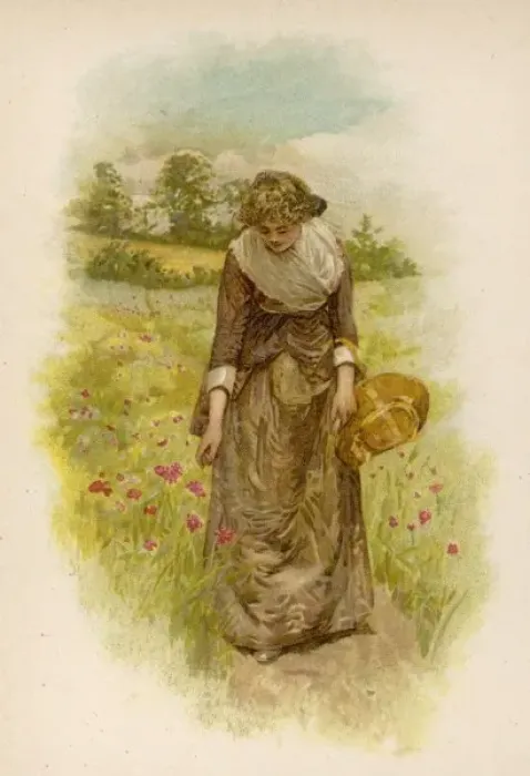 Framed Print : Woman Picking Poppies Framed Print : Woman Picking Poppies