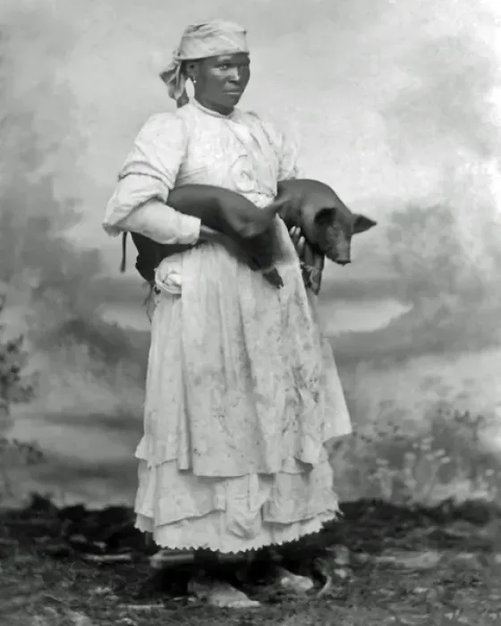Framed Print : Woman with pigs, West Indies Framed Print : Woman with pigs, West Indies