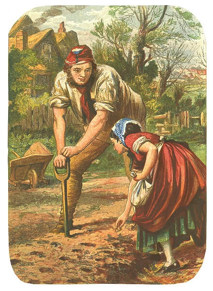 Woman planting Seeds, Man dibbling the holes