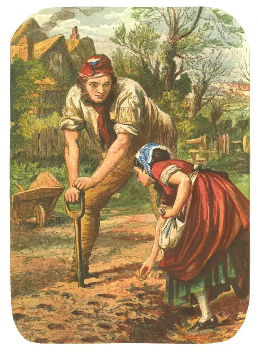 Framed Print : Woman planting Seeds, Man dibbling the holes Framed Print : Woman planting Seeds, Man dibbling the holes