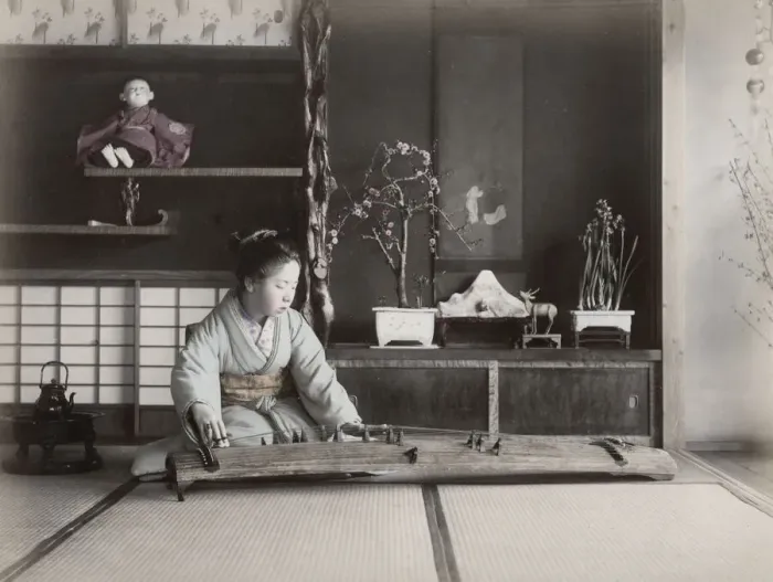 Framed Print : Woman playing koto stringed musical instrument, Japan Framed Print : Woman playing koto stringed musical instrument, Japan