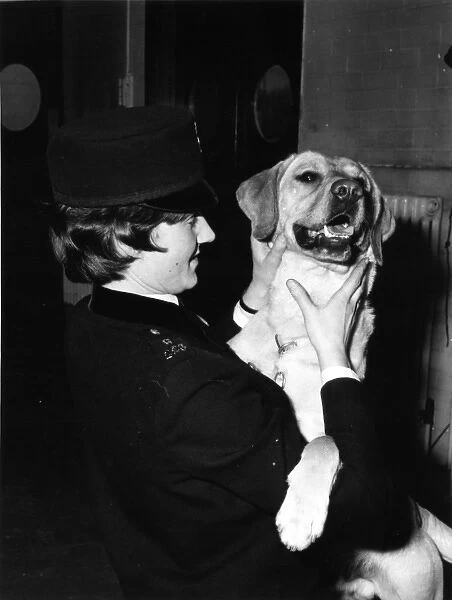Woman police dog handler with drug sniffer dog, London