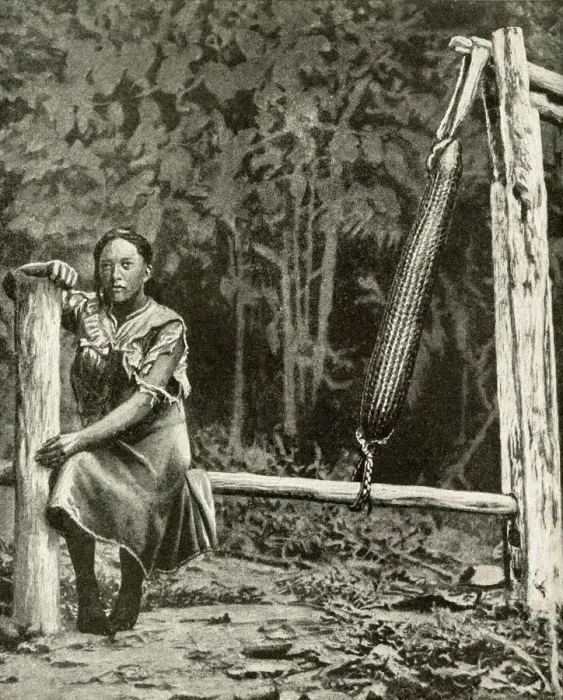 Framed Print : Woman preparing food from cassava plant, Brazil Framed Print : Woman preparing food from cassava plant, Brazil