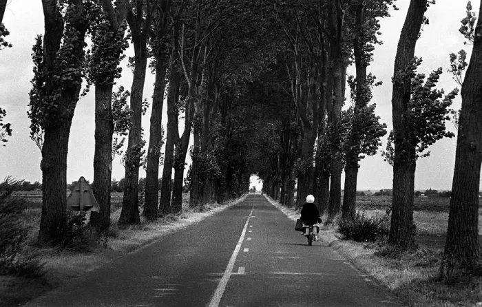 Framed Print : A woman rides a moped along an avenue of trees, France Framed Print : A woman rides a moped along an avenue of trees, France