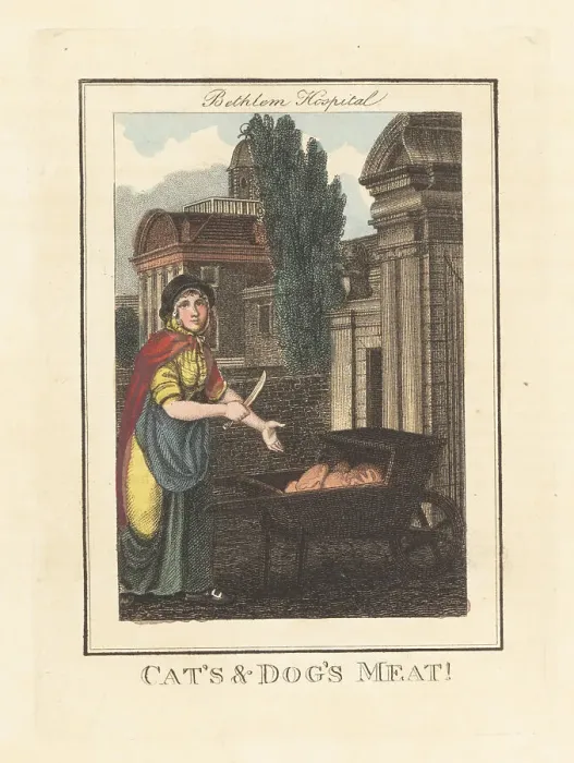 Framed Print : Woman selling pet food in front of Bethlem Hospital, London, 180