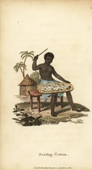 Framed Print : Woman of Senegambia beating cotton, 18th century Framed Print : Woman of Senegambia beating cotton, 18th century