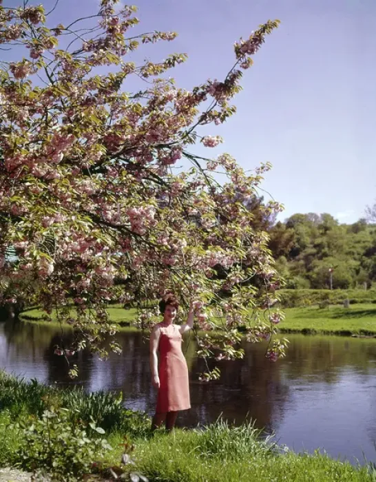 Framed Print : Woman standing by a river in springtime Framed Print : Woman standing by a river in springtime
