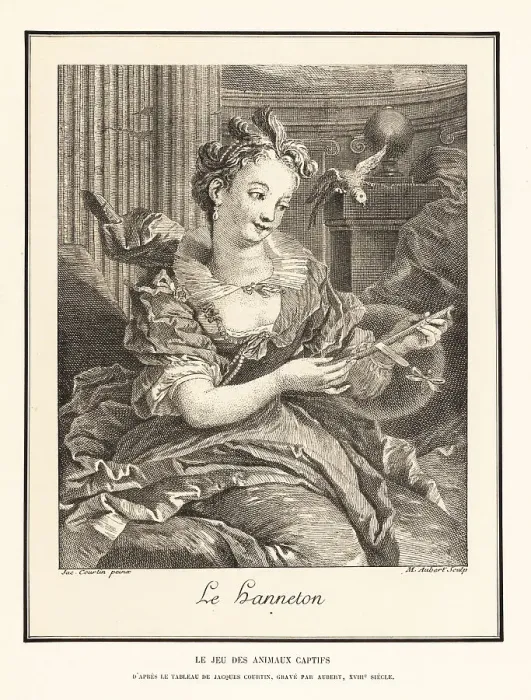 Framed Print : Woman teasing a parrot with a captive beetle, 18th century Framed Print : Woman teasing a parrot with a captive beetle, 18th century