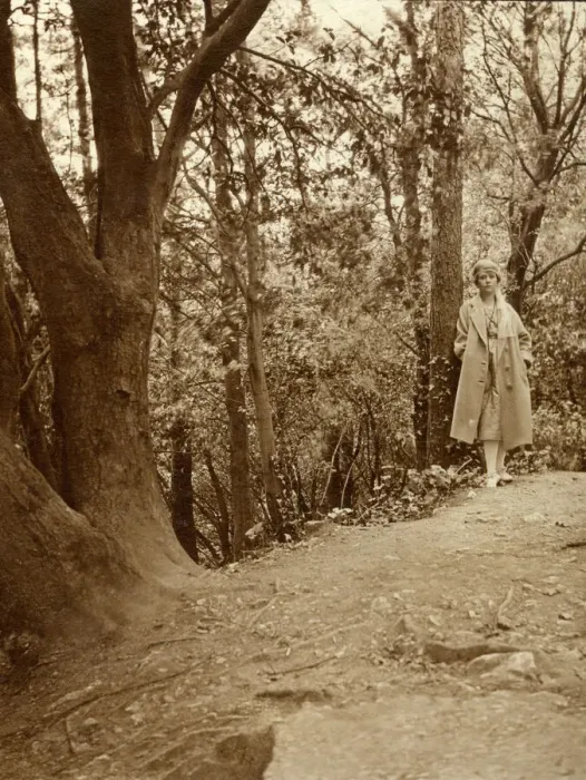 Framed Print : Woman walking in a wood Framed Print : Woman walking in a wood