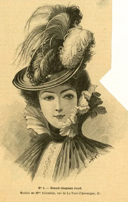 Framed Print : Woman wearing feathered hat 1899 Framed Print : Woman wearing feathered hat 1899
