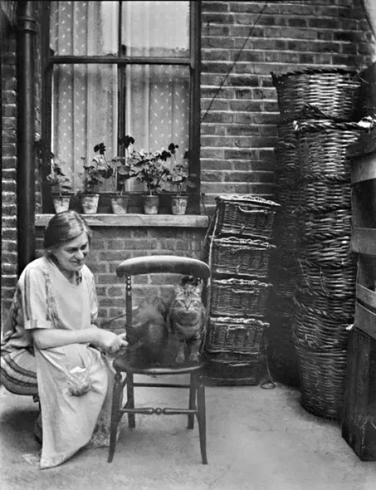 Framed Print : Woman in back yard with two cats Framed Print : Woman in back yard with two cats