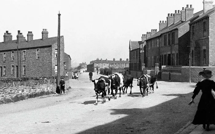 Framed Print : Wombwell Wath Road early 1900s Framed Print : Wombwell Wath Road early 1900s