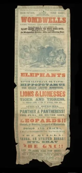 Framed Print : Wombwells Royal National Zoological Establishment Framed Print : Wombwells Royal National Zoological Establishment