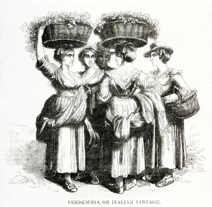 Framed Print : Women with baskets of grapes, Southern Italy Framed Print : Women with baskets of grapes, Southern Italy