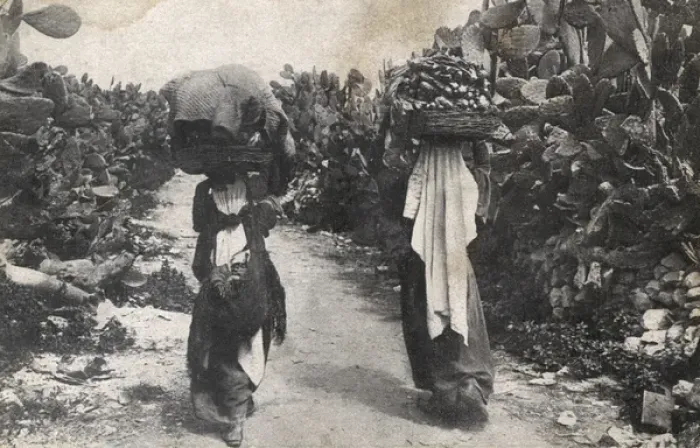 Framed Print : Women carry vegetables through a cactus plantation - Israel Framed Print : Women carry vegetables through a cactus plantation - Israel