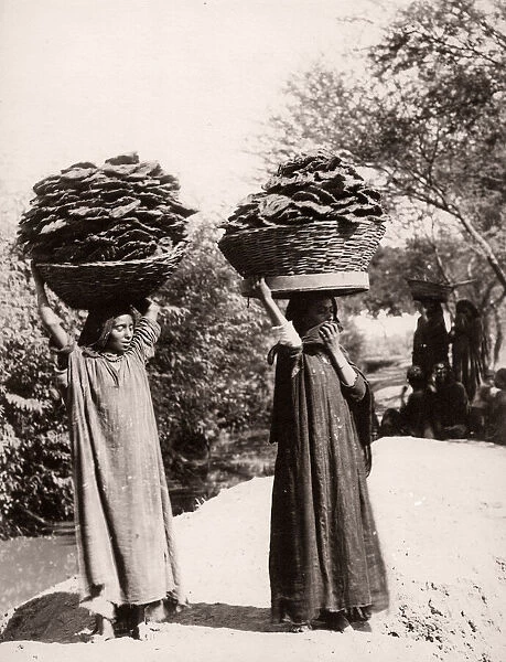 Women carrying dried manure for fuel, India