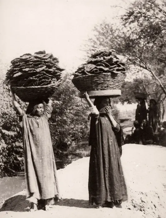 Framed Print : Women carrying dried manure for fuel, India Framed Print : Women carrying dried manure for fuel, India