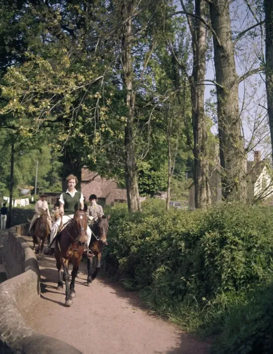 Framed Print : Women and children riding horses along a country lane Framed Print : Women and children riding horses along a country lane