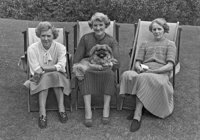 Framed Print : Three women in deckchairs with a dog Framed Print : Three women in deckchairs with a dog