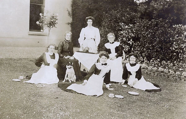 Six women with a dog in a garden