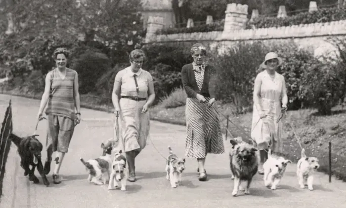 Framed Print : Four women with dogs, Bournemouth Framed Print : Four women with dogs, Bournemouth