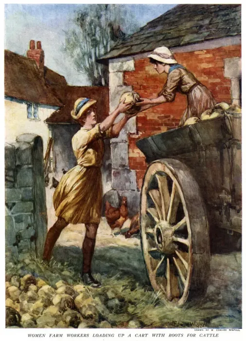 Framed Print : Women farm workers loading a cart, May 1918 Framed Print : Women farm workers loading a cart, May 1918