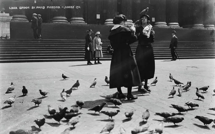 Framed Print : Women Feeding Pigeons at St. Paul's Cathedral Framed Print : Women Feeding Pigeons at St. Paul's Cathedral