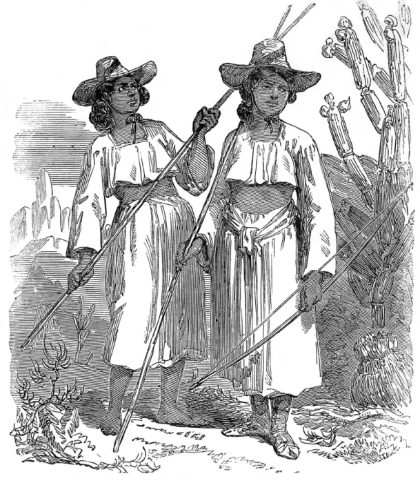 Framed Print : Women of the Papagos Tribe of Native American Indians, 1858 Framed Print : Women of the Papagos Tribe of Native American Indians, 1858