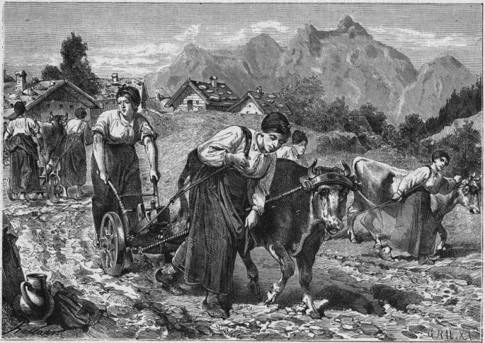 Framed Print : Women Ploughing Framed Print : Women Ploughing