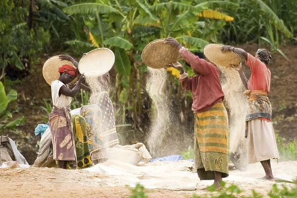 Women sieving cereals in Sumbawanga