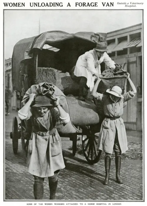 Framed Print : Women unloading van outside veterinary hospital 1918 Framed Print : Women unloading van outside veterinary hospital 1918
