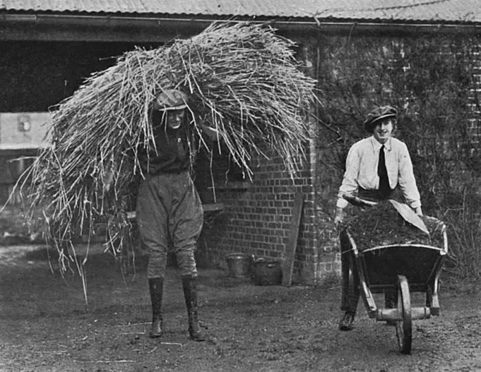 Framed Print : Women working at Army Remount Depot, WW1 Framed Print : Women working at Army Remount Depot, WW1