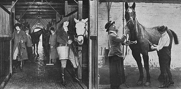 Women working at convalescent remount depot, WW1