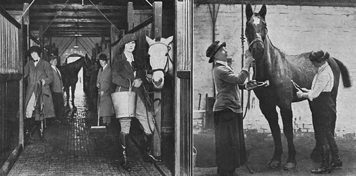 Framed Print : Women working at convalescent remount depot, WW1 Framed Print : Women working at convalescent remount depot, WW1