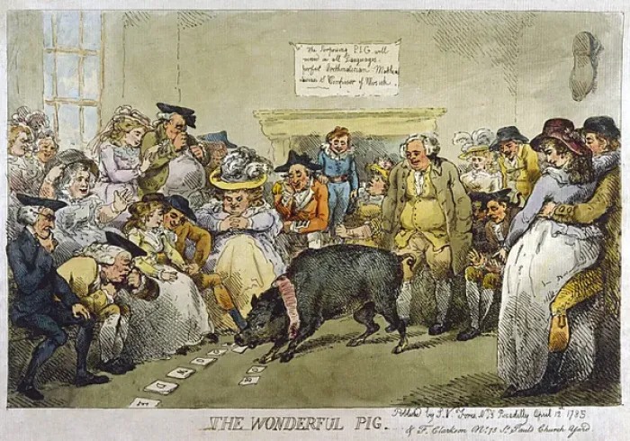 Framed Print : Wonderful Learned Pig Framed Print : Wonderful Learned Pig