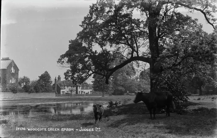 Framed Print : Woodcote Green, Epsom Framed Print : Woodcote Green, Epsom