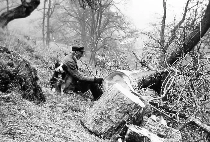 Framed Print : Woodcutter and dog Framed Print : Woodcutter and dog