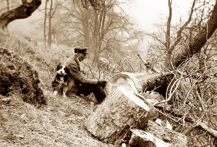 Framed Print : Woodcutter and his dog Victorian period Framed Print : Woodcutter and his dog Victorian period