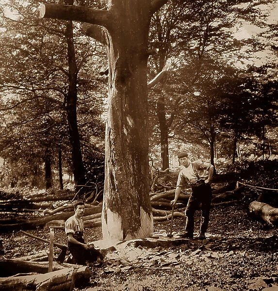Woodcutters, England, Victorian period
