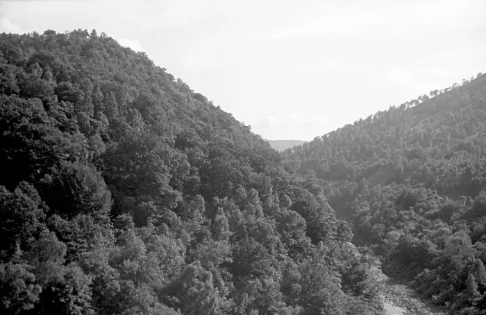 Framed Print : Wooded valley Framed Print : Wooded valley
