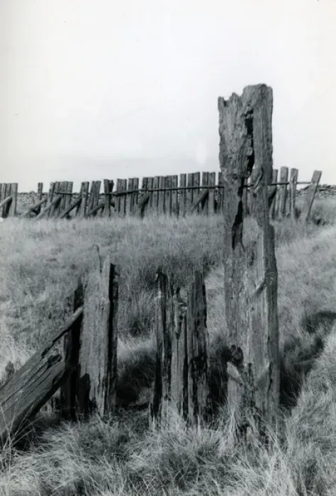 Framed Print : Wooden Snow Fence, Dent, Cumbria Framed Print : Wooden Snow Fence, Dent, Cumbria