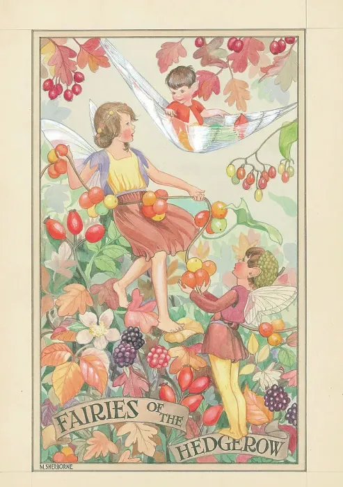 Framed Print : Woodland Fairies Framed Print : Woodland Fairies