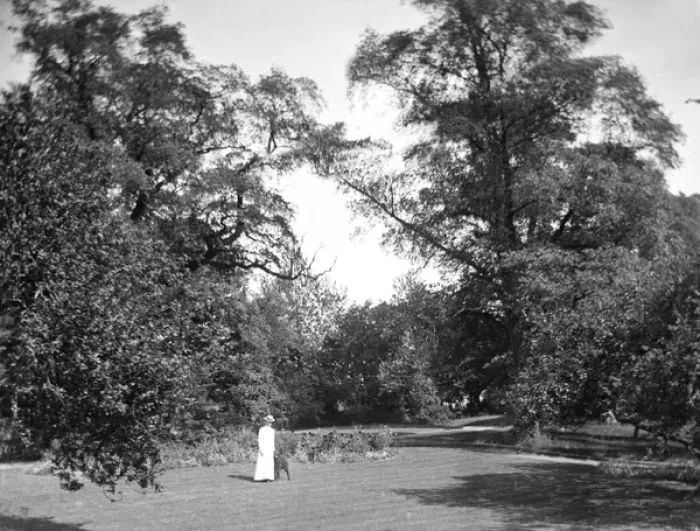 Framed Print : Woodland garden, Grove House, Bamford, Derbyshire Framed Print : Woodland garden, Grove House, Bamford, Derbyshire