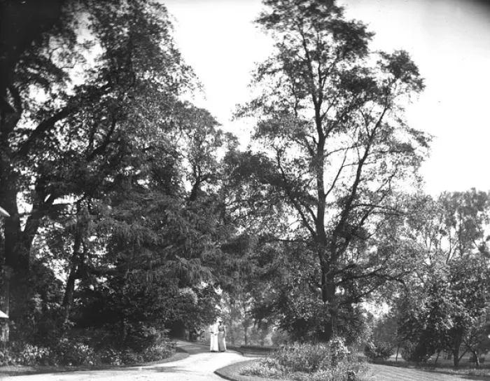 Framed Print : Woodland garden, Grove House, Bamford, Derbyshire Framed Print : Woodland garden, Grove House, Bamford, Derbyshire