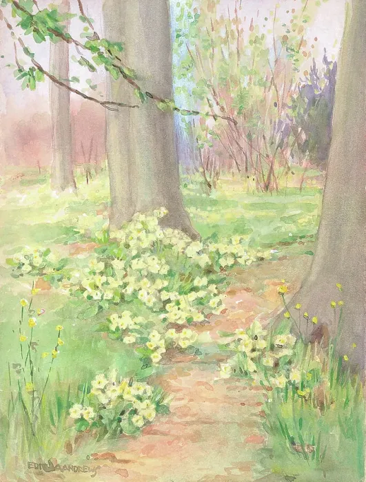 Framed Print : Woodland - Gardens Framed Print : Woodland - Gardens